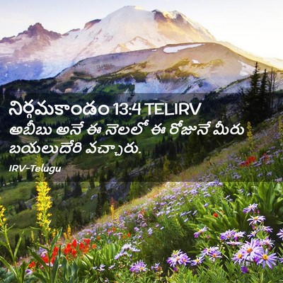 Picture 02 - నిర్గమకాండం 13:4 TELIRV - అబీబు అనే ఈ నెలలో ఈ - Bible Verse Picture