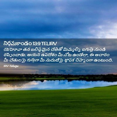 Picture 02 - నిర్గమకాండం 13:9 TELIRV - యెహోవా తన - Bible Verse Picture