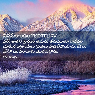 Picture 02 - నిర్గమకాండం 14:10 TELIRV - ఫరో, అతని సైన్యం - Bible Verse Picture