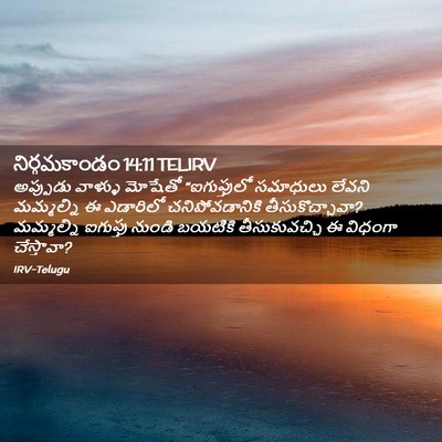 Picture 02 - నిర్గమకాండం 14:11 TELIRV - అప్పుడు వాళ్ళు - Bible Verse Picture