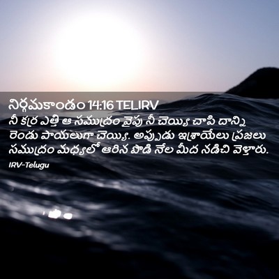 Picture 02 - నిర్గమకాండం 14:16 TELIRV - నీ కర్ర ఎత్తి ఆ - Bible Verse Picture