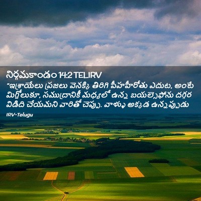 Picture 02 - నిర్గమకాండం 14:2 TELIRV - “ఇశ్రాయేలు ప్రజలు - Bible Verse Picture