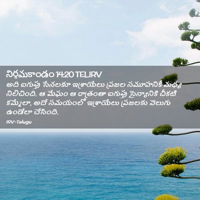 Picture 02 - నిర్గమకాండం 14:20 TELIRV - అది ఐగుప్తు - Bible Verse Picture