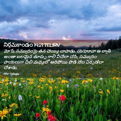 Picture 02 - నిర్గమకాండం 14:21 TELIRV - మోషే సముద్రంపై తన - Bible Verse Picture