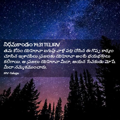 Picture 02 - నిర్గమకాండం 14:31 TELIRV - తమ కోసం యెహోవా - Bible Verse Picture
