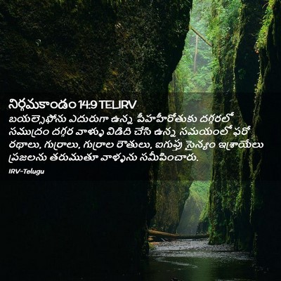 Picture 02 - నిర్గమకాండం 14:9 TELIRV - బయల్సెఫోను - Bible Verse Picture