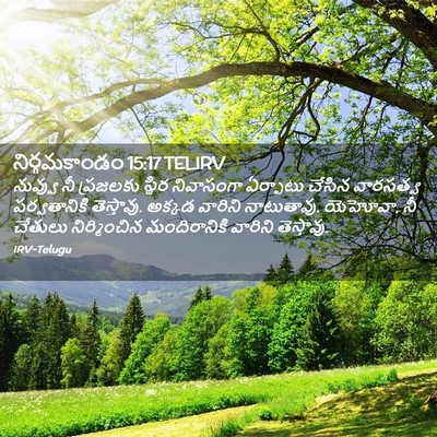 Picture 02 - నిర్గమకాండం 15:17 TELIRV - నువ్వు నీ ప్రజలకు - Bible Verse Picture