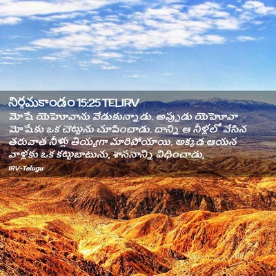 Picture 02 - నిర్గమకాండం 15:25 TELIRV - మోషే యెహోవాను - Bible Verse Picture