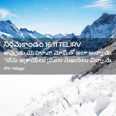 Picture 02 - నిర్గమకాండం 16:11 TELIRV - అప్పుడు యెహోవా - Bible Verse Picture