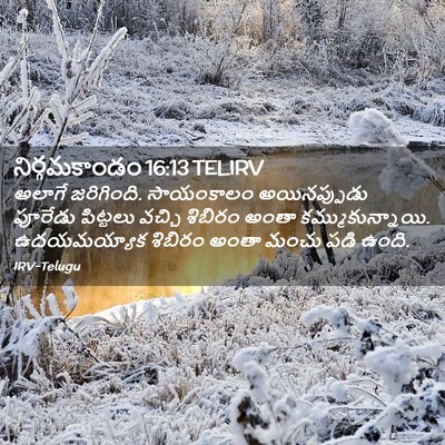 Picture 02 - నిర్గమకాండం 16:13 TELIRV - అలాగే జరిగింది. - Bible Verse Picture