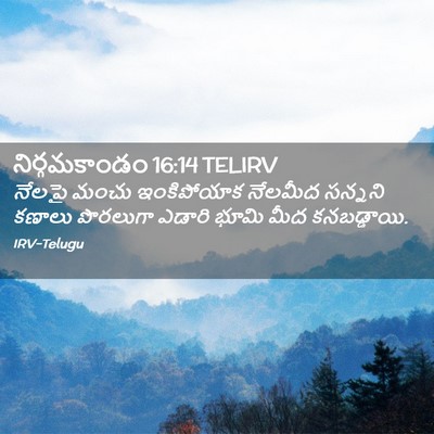 Picture 02 - నిర్గమకాండం 16:14 TELIRV - నేలపై మంచు - Bible Verse Picture