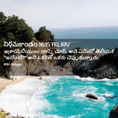 Picture 02 - నిర్గమకాండం 16:15 TELIRV - ఇశ్రాయేలీయులు - Bible Verse Picture