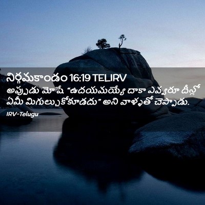 Picture 02 - నిర్గమకాండం 16:19 TELIRV - అప్పుడు మోషే - Bible Verse Picture