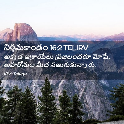 Picture 02 - నిర్గమకాండం 16:2 TELIRV - అక్కడ ఇశ్రాయేలు - Bible Verse Picture