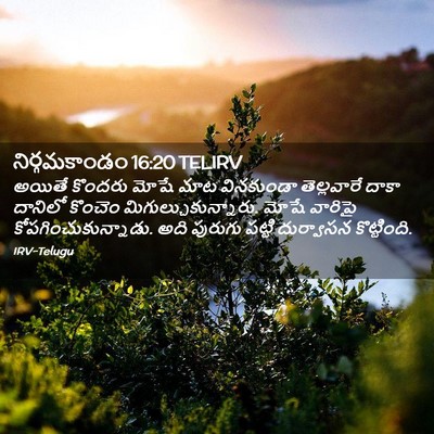 Picture 02 - నిర్గమకాండం 16:20 TELIRV - అయితే కొందరు మోషే - Bible Verse Picture