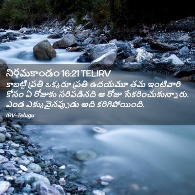 Picture 02 - నిర్గమకాండం 16:21 TELIRV - కాబట్టి ప్రతి - Bible Verse Picture