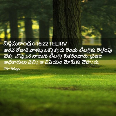 Picture 02 - నిర్గమకాండం 16:22 TELIRV - ఆరవ రోజున వాళ్ళు - Bible Verse Picture