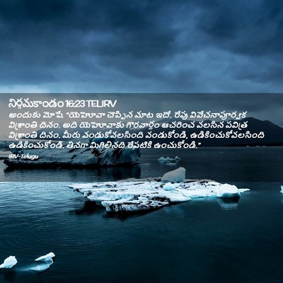 Picture 02 - నిర్గమకాండం 16:23 TELIRV - అందుకు మోషే - Bible Verse Picture