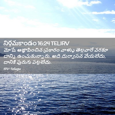 Picture 02 - నిర్గమకాండం 16:24 TELIRV - మోషే ఆజ్ఞాపించిన - Bible Verse Picture