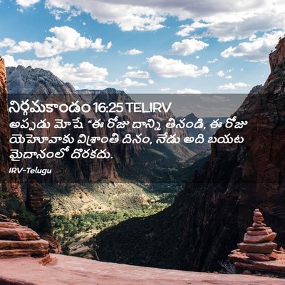 Picture 02 - నిర్గమకాండం 16:25 TELIRV - అప్పడు మోషే “ఈ - Bible Verse Picture