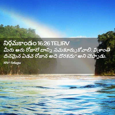 Picture 02 - నిర్గమకాండం 16:26 TELIRV - మీరు ఆరు రోజులే - Bible Verse Picture