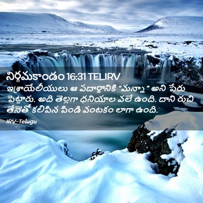 Picture 02 - నిర్గమకాండం 16:31 TELIRV - ఇశ్రాయేలీయులు ఆ - Bible Verse Picture
