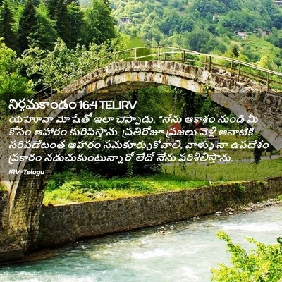 Picture 02 - నిర్గమకాండం 16:4 TELIRV - యెహోవా మోషేతో ఇలా - Bible Verse Picture