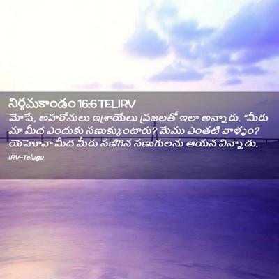 Picture 02 - నిర్గమకాండం 16:6 TELIRV - మోషే, అహరోనులు - Bible Verse Picture
