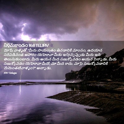Picture 02 - నిర్గమకాండం 16:8 TELIRV - మోషే వాళ్ళతో - Bible Verse Picture