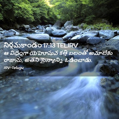 Picture 02 - నిర్గమకాండం 17:13 TELIRV - ఆ విధంగా యెహోషువ - Bible Verse Picture