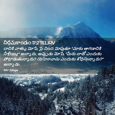 Picture 02 - నిర్గమకాండం 17:2 TELIRV - దానికి వాళ్ళు - Bible Verse Picture