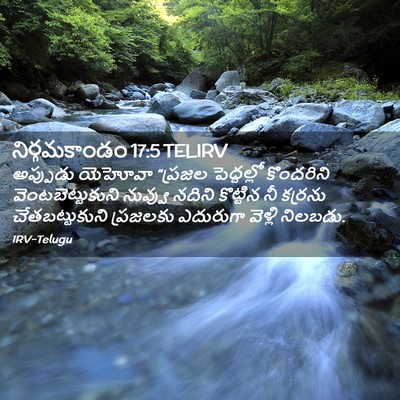 Picture 02 - నిర్గమకాండం 17:5 TELIRV - అప్పుడు యెహోవా - Bible Verse Picture