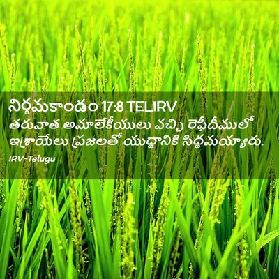 Picture 02 - నిర్గమకాండం 17:8 TELIRV - తరువాత - Bible Verse Picture