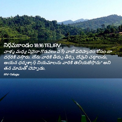 Picture 02 - నిర్గమకాండం 18:16 TELIRV - వాళ్ళ మధ్య ఏవైనా - Bible Verse Picture