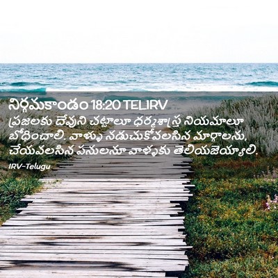Picture 02 - నిర్గమకాండం 18:20 TELIRV - ప్రజలకు దేవుని - Bible Verse Picture