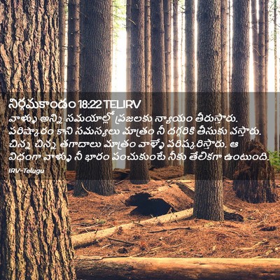 Picture 02 - నిర్గమకాండం 18:22 TELIRV - వాళ్ళు అన్ని - Bible Verse Picture