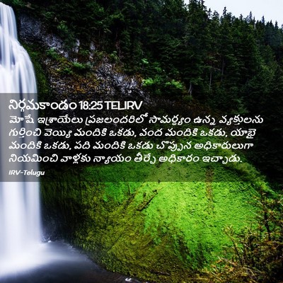 Picture 02 - నిర్గమకాండం 18:25 TELIRV - మోషే ఇశ్రాయేలు - Bible Verse Picture
