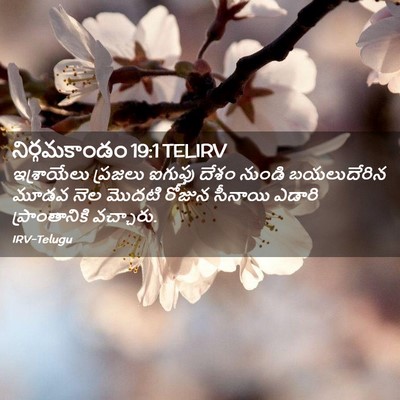 Picture 02 - నిర్గమకాండం 19:1 TELIRV - ఇశ్రాయేలు ప్రజలు - Bible Verse Picture