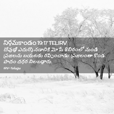 Picture 02 - నిర్గమకాండం 19:17 TELIRV - దేవుణ్ణి - Bible Verse Picture