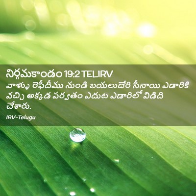 Picture 02 - నిర్గమకాండం 19:2 TELIRV - వాళ్ళు రెఫీదీము - Bible Verse Picture