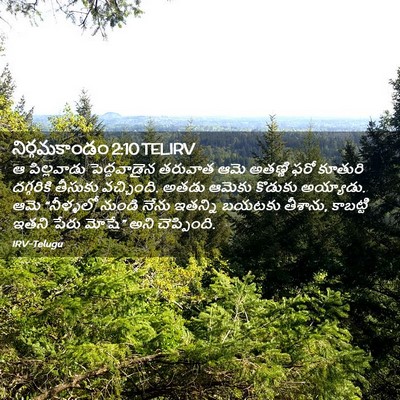 Picture 02 - నిర్గమకాండం 2:10 TELIRV - ఆ పిల్లవాడు - Bible Verse Picture