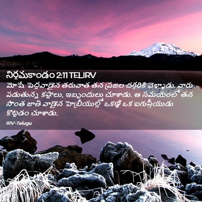 Picture 02 - నిర్గమకాండం 2:11 TELIRV - మోషే పెద్దవాడైన - Bible Verse Picture