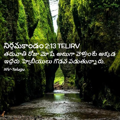 Picture 02 - నిర్గమకాండం 2:13 TELIRV - తరువాతి రోజు మోషే - Bible Verse Picture