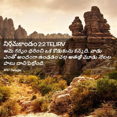 Picture 02 - నిర్గమకాండం 2:2 TELIRV - ఆమె గర్భం ధరించి - Bible Verse Picture