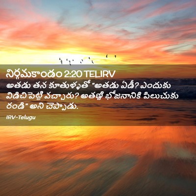 Picture 02 - నిర్గమకాండం 2:20 TELIRV - అతడు తన కూతుళ్ళతో - Bible Verse Picture