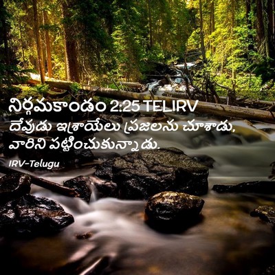 Picture 02 - నిర్గమకాండం 2:25 TELIRV - దేవుడు ఇశ్రాయేలు - Bible Verse Picture