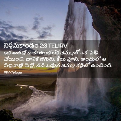 Picture 02 - నిర్గమకాండం 2:3 TELIRV - ఇక అతణ్ణి దాచి - Bible Verse Picture