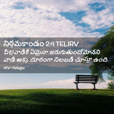 Picture 02 - నిర్గమకాండం 2:4 TELIRV - పిల్లవాడికి ఏమైనా - Bible Verse Picture