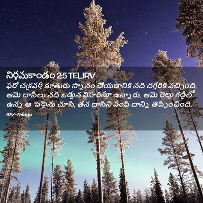Picture 02 - నిర్గమకాండం 2:5 TELIRV - ఫరో చక్రవర్తి - Bible Verse Picture