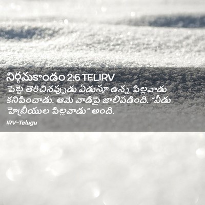 Picture 02 - నిర్గమకాండం 2:6 TELIRV - పెట్టె - Bible Verse Picture